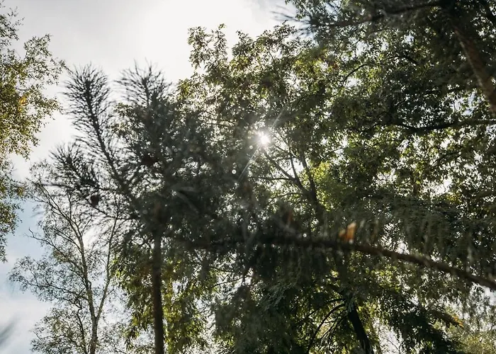 Maridu Ayla Chalet *